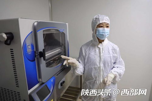 行走自貿(mào)區(qū) 跨國診療 共享實(shí)驗(yàn)室 現(xiàn)代醫(yī)療大大提升治病效率