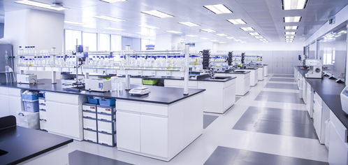 上美集團副總裁劉明 傳統品牌獲得新銳增長的四大關鍵